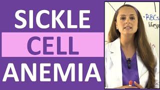 Sickle Cell Anemia Nursing  Symptoms Pathophysiology Sickle Cell Crisis amp Trait [upl. by Anavas267]