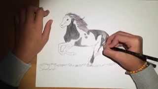 Come colorare un disegno cavallo [upl. by Ulrich]