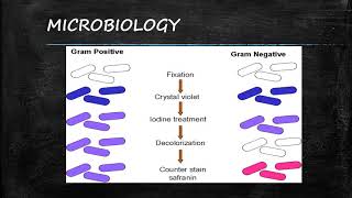 CIC Study Guide Series 1 Microbiology [upl. by Laine]