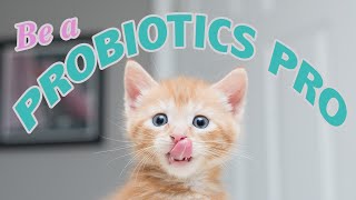 Probiotics for Kittens Be a Probiotics PRO [upl. by Ahsi]