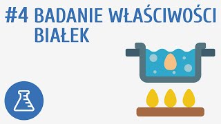 Badanie właściwości białek 4  Biologiczne związki organiczne [upl. by Naman]