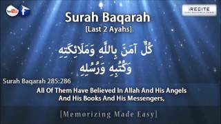 Surah Baqarah Last 2 Verses  Sheikh Ziyad Patel  Memorizing Made Easy  1080pᴴᴰ [upl. by Adnamar]