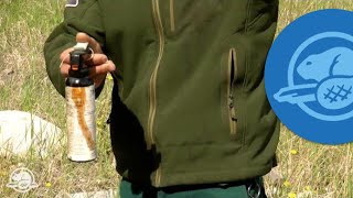 How to Use Bear Spray  Banff National Park [upl. by Salokin]