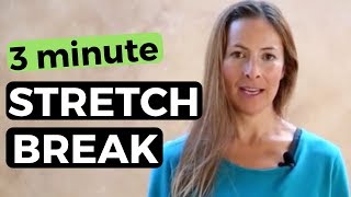 3 Minute Stretch Break  Office Yoga [upl. by Eda430]