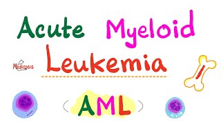 Acute Myeloid Leukemia AML  Auer Rods  Myeloperoxidase Positive  Hematology amp Oncology Series [upl. by Alva]