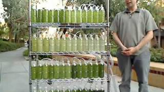 An Algae Bioreactor from Recycled Water Bottles [upl. by Elaynad]