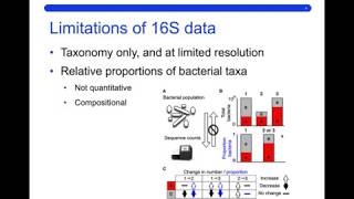 16S rRNA gene sequencing [upl. by Converse145]