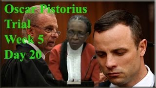 Oscar Pistorius Trial Thursday 10 April 2014 Session 2 [upl. by Ario]