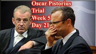 Oscar Pistorius Trial Friday 11 April 2014 [upl. by Sigismond691]