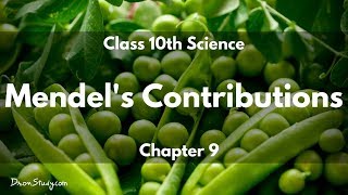 Heredity and Evolution  Mendels Contributions  CBSE Class 10 X Science Biology  Toppr Study [upl. by Anais]