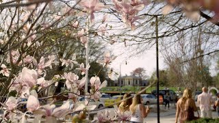 Explore Central Baltimore Around the Johns Hopkins University Campus [upl. by Adohr]