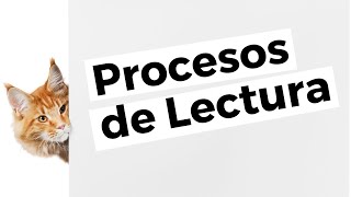 PROCESOS DE LECTURA [upl. by Cooperman]