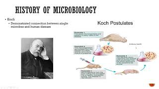 Chapter 1 OpenStax Microbiology [upl. by Mairam]