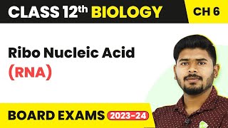 Class 12 Biology Chapter 6  Ribo Nucleic Acid RNA  Molecular Basis of Inheritance 202223 [upl. by Alage837]