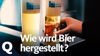 So wird Bier gebraut  Quarks [upl. by Bilat]