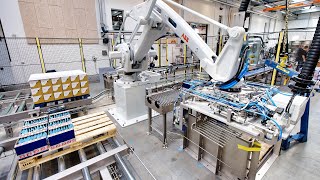 Fully automatic robot palletising system for boxes [upl. by Pacien]