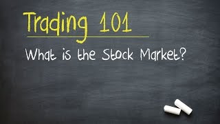 Trading 101 What is the Stock Market [upl. by Itnaihc]