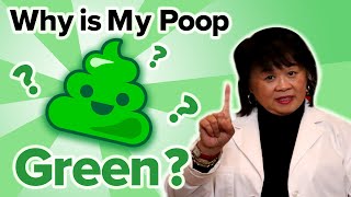 Why Is My Poop Green [upl. by Isyad]