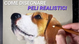 Come disegnare UN CANE REALISTICO  Incredibile TUTORIAL [upl. by Charlotte140]