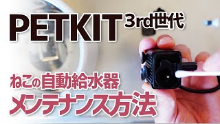 【PETKIT】EVERSWEET 3 猫用 自動給水器フィルター交換と洗浄方法【スコティッシュフォールド】 [upl. by Emilie]