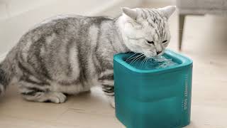 PETKIT EVERSWEET SOLO PET WATER DRINKING FOUNTAIN [upl. by Peregrine486]