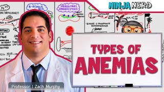 Hematology  Types of Anemias [upl. by Lenoil]