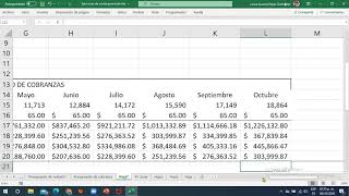 Presupuesto de cobranza con excel [upl. by Einahpet923]