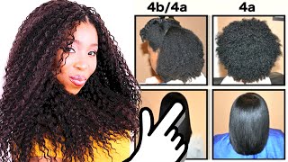 Natural Hair Types EXPLAINED In Detail w PICTURES 4C 4B amp 4A HAIR CHART [upl. by Lothaire]