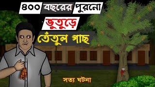 Bhuter Golpo  400 Year Old Spooky Tamarind Tree  Real Ghost Stories [upl. by Eniamert]