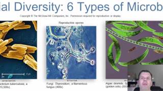 Chapter 1 Introduction to Microbiology [upl. by Tengler]