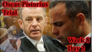 Oscar Pistorius Trial Tuesday 13 May 2014 Session 2 [upl. by Gnanmas]