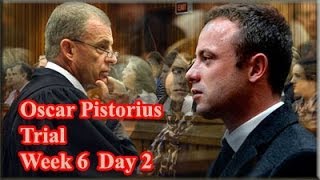 Oscar Pistorius Trial Tuesday 15 April 2014 Session 1 [upl. by Anirt]