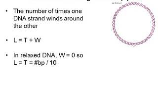 DNA Supercoiling 3  Linking Number [upl. by Tneciv]