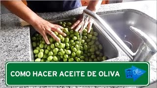 Como Hacer Aceite de Oliva  Olla Itinerante [upl. by Bohman]