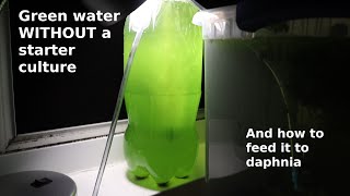 Green Water WITHOUT a Starter Culture  From Scratch  How To [upl. by Neibaf]