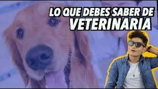 COMO ES ESTUDIAR VETERINARIA [upl. by Paulo759]