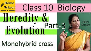 Heredity amp Evolution class 10 Biology Part3 [upl. by Llerrac]