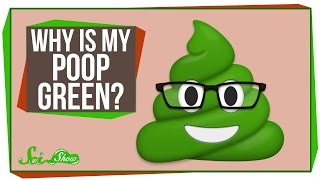 Why Is My Poop Green [upl. by Iborian652]