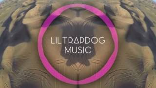 Liltrapdog  SynthesizeOG Diss Track [upl. by Apthorp534]