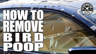 How To Remove Bird Poop  Chemical Guys Car Care [upl. by Hauser]