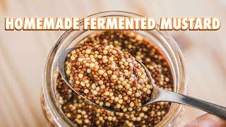 Easy Homemade Fermented Mustard [upl. by Basham]