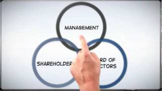 Corp 101 The Basics of Corporate Structure [upl. by Elad891]