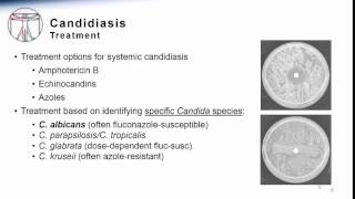 Candida Systemic Candidiasis Treatment amp Prevention [upl. by Enifesoj]