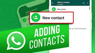 How to Add Contacts to WhatsApp from iPhone  How to Add People to Groups on WhatsApp [upl. by Llenehs371]